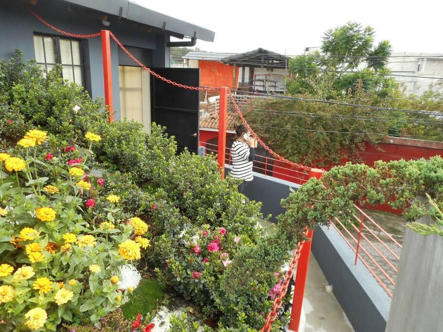 Comfy. Full Internet, Kitchen, Washer And Dryer, Netflix Chimaltenango Eksteriør bilde